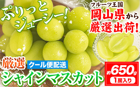 シャインマスカット 約650g　ｼｬｲﾝﾏｽｶｯﾄ