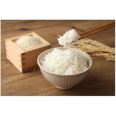 ふるさと納税 蘭越町 【令和6年産】らんこし米 食べくらべセット(ななつぼし・ゆめぴりか各5kg) 計10kg 精米 |  | 03