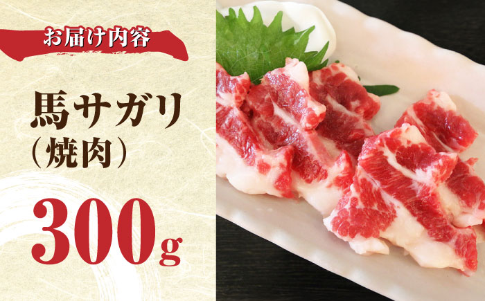 【数量限定】馬サガリ 300g カルビ 焼肉 熊本 馬肉 冷凍【やまのや】[YDF025]