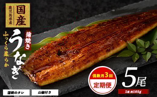 
            【全３回定期便・偶数月お届け】鹿児島県産うなぎ蒲焼じっくり焼き約165g×5尾(大新/Z100-1698) 鰻 蒲焼 国産 丑の日 うな重 無頭 ギフト ふっくら 小分け レンジ 簡単 頒布会 小分け うな丼 ウナギ 冷凍
          