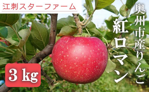 
【スターファーム】 こだわり栽培の 紅ロマン 厳選品 ３kg 岩手県奥州市産りんご　産地直送

