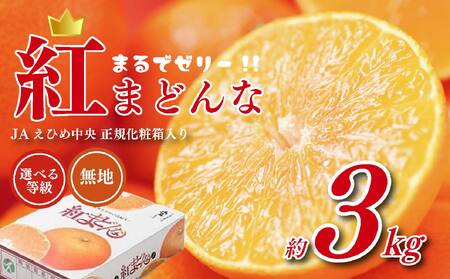 【2026年11月下旬頃から順次発送】【正規化粧箱入】紅まどんな 3kg | みかん 蜜柑 マドンナ 高級 愛媛 松山 お祝い ギフト 贈答 プレゼント 【OS0012】