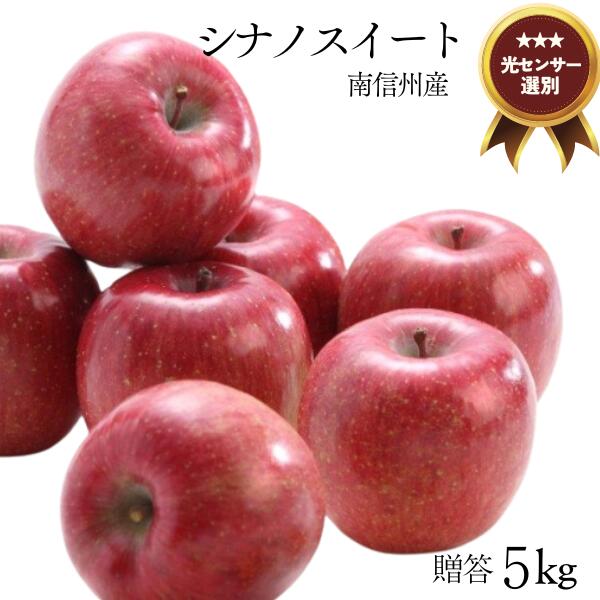 【ふるさと納税】りんご シナノスイート 約5キロ ／9月下旬～10月上旬ごろ配送配送 長野県 オリジナル品種 南信州 甘い 新鮮 厳選 贈答 JA13