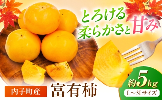 柿 【先行予約】 富有柿(L～3L) 5kg 【北海道・沖縄配送不可】 ／ 甘柿 柿 かき カキ 果物 フルーツ 国産 産地直送 人気 おすすめ 送料無料 ふゆうかき フユウカキ 甘い あまい 旬 内子町 愛媛 四国 愛媛県産 特産品 ギフト 贈答品 お取り寄せ 返礼品 お礼品 食品 グルメ 季節限定 農産物 旬の味覚 プレゼント 【株式会社フジ・アグリフーズ】 [BKAY019]