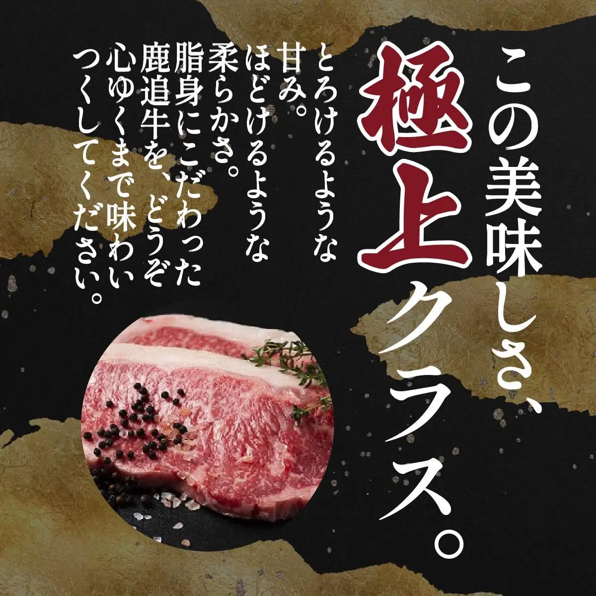 鹿追牛ロースステーキ（Dセット） 225g×2 SKA008 【 人気 おすすめ  北海道  送料無料 】