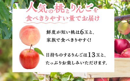 【先行予約】飛騨直送 桃とリンゴのフルーツ定期便 桃 6玉 りんご リンゴ 5kg 訳あり 訳アリ 定期便 もも 1.5kg 秀品 白桃 果物 ギフト 贈答 朝採れ 飛騨 家庭用 産地直送 30000