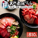 【ふるさと納税】 まぐろ 中トロ 赤身 スライス まぐろたたき 刺身 寿司 海鮮丼 総重量約800g 天然 南鮪づくし 魚 焼津 a20-242