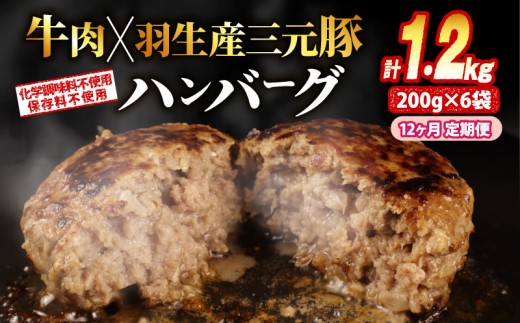 【定期便】 大判ハンバーグ ハンバーグ 牛肉 豚肉 あいびき 1.2kg×12回 定期便 小分け 個包装 大判ハンバーグ 惣菜 冷凍 合挽きハンバーグ 保存料不使用 無添加 国産 はんばーぐ hannba-gu ハンバーグ ランキング 人気ハンバーグ 肉 冷凍食品 簡単調理 国産ハンバーグ ふるさと納税ハンバーグ 冷凍 はんばーぐ 冷凍はんばーぐ おかず 簡単 惣菜 お惣菜 hannba-gu