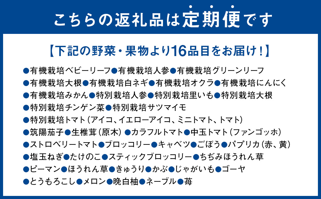 【12か月連続定期便】季節の果物と野菜セット 16品目