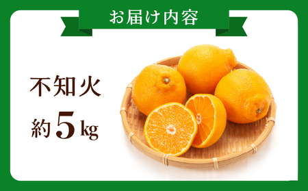 不知火 約5kg