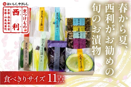漬物 京漬物の西利 春から夏、西利がお勧めの旬のお漬物　11点セット