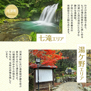 宿泊券 たっぷり河津旅 30,000円分 宿泊補助券 ホテル 旅館 温泉宿 高級宿 旅行券
