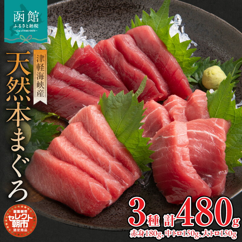 【ふるさと納税】天然 本まぐろ 赤身 180g 中トロ 150g 大トロ 150g 津軽海峡産 セレクト 朝市 瞬間液体冷凍機 急速冷凍 品質 冷凍 解凍するだけ 簡単 お好み 部位 とれたて 風味 食感 函館朝市 のし対応可 お取り寄せ お取り寄せグルメ 北海道 函館市 送料無料