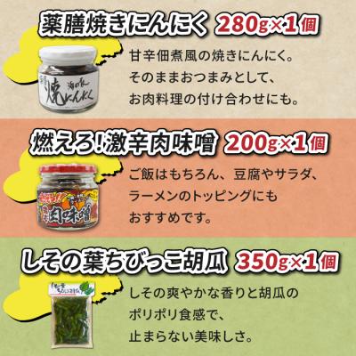 ふるさと納税 東御市 ご飯のお供・おつまみバラエティセット【馬場音一商店】 |  | 01