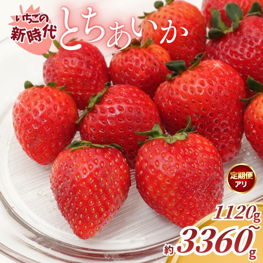 【ふるさと納税】いちご の 新時代！ とちあいか【2027年 先行予約】280g × 4P (1120g)｜定期便 2回 3回 いちご イチゴ 苺 ストロベリー フルーツ 果物 人気 高評価 ご褒美 お取り寄せ デザート おいしい 甘い ジューシー 産地直送 栃木県産 矢板市産 栃木県 矢板市
