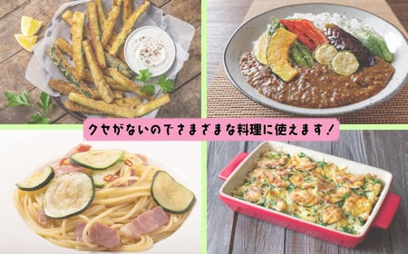 【先行予約】朝採れ!!新鮮ズッキーニ（約6～8本）【期間限定】(７-A9)