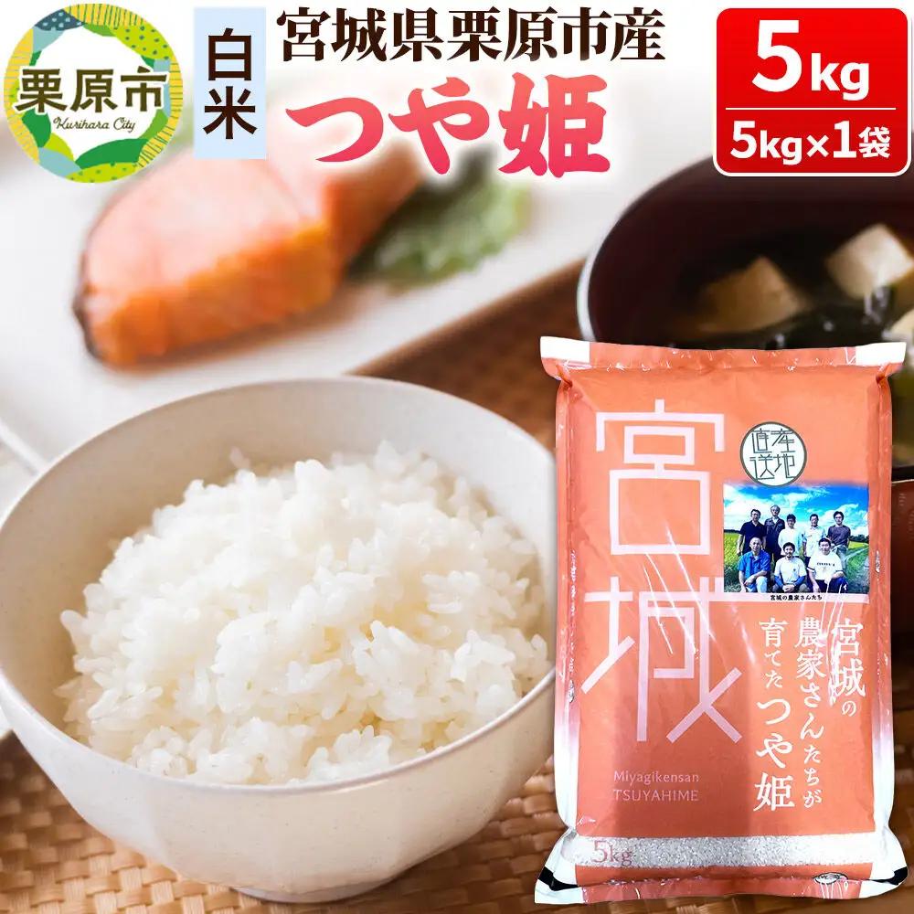 米 5kg 白米 R7年産 栗原市産 つや姫
