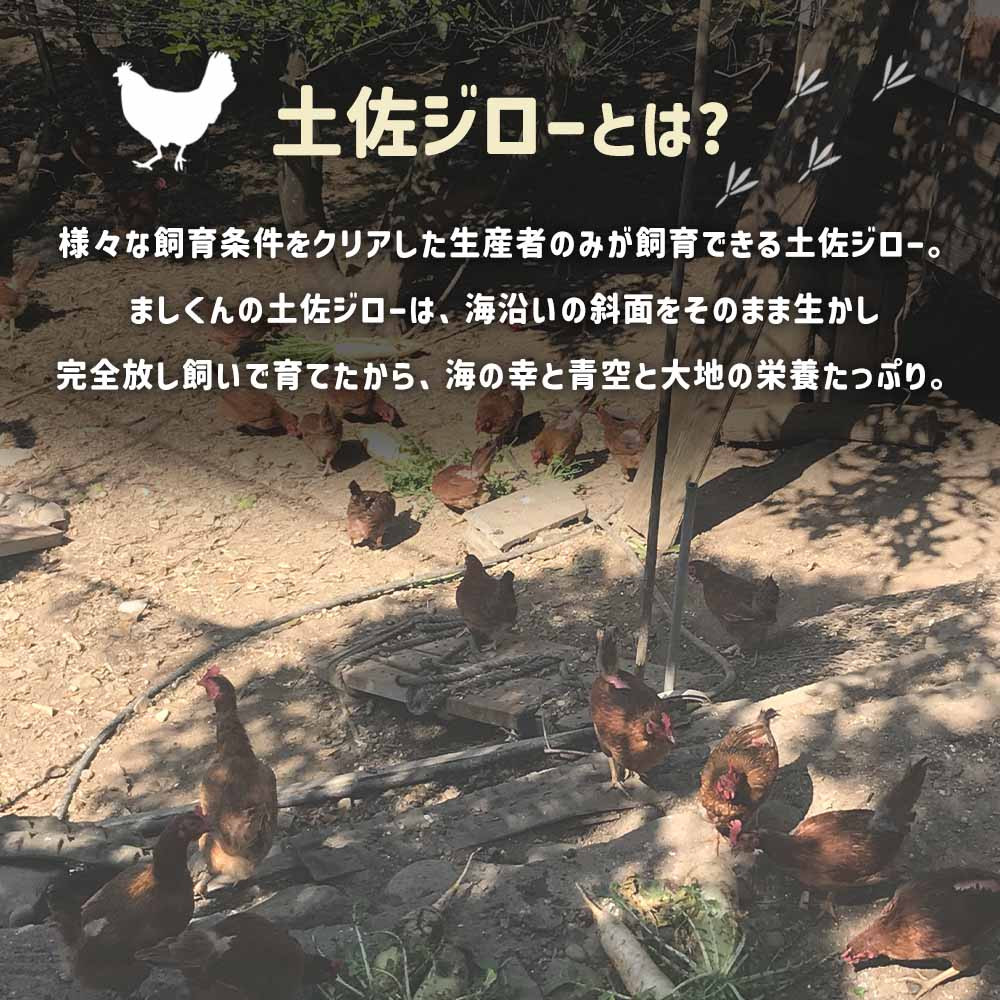 プリッとした黄身が特徴