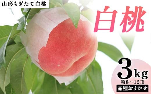 
            【先行受付（令和7年度発送）】山形もぎたて白桃 品種おまかせ3kg FSY-2036
          