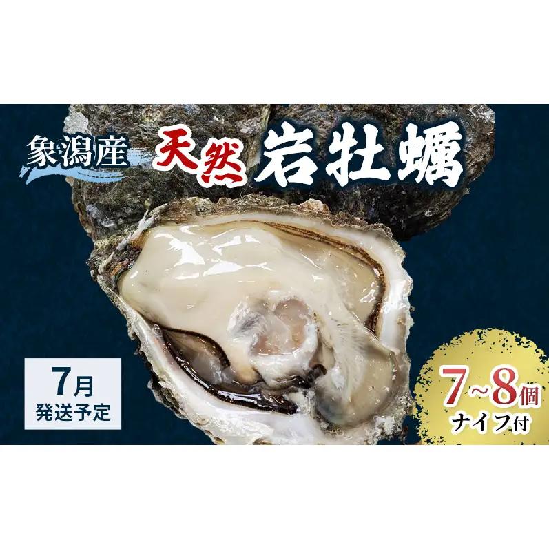 【 先行予約 7月上旬～下旬発送予定】象潟産 天然岩牡蠣 7～8個 ナイフ付【 牡蠣 夏牡蠣 かき 象潟 生食可 魚介類 海鮮 海産物 海の幸 】