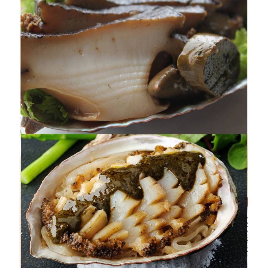 ＜天の酒喰食房＞「京丹後」海の味便り（せいこ蟹・鮑・鰻）【6カ月定期便】