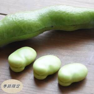 【数量限定】安心安全なサヤ付き房州そらまめ 約3.5kg (4月下旬頃～5月下旬頃発送予定)【配送不可地域：離島・北海道・沖縄県・東北・中国・四国・九州】【1486428】