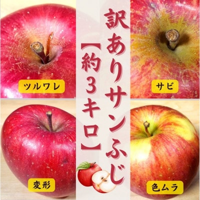 青森りんご サンふじ約3kg【訳あり・家庭用】【配送不可地域：離島・沖縄・中国・四国・九州】【1379642】