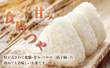 【石垣島産】日本最南端の日本一早い新米（清兵衛）2kg×2袋  TN-01