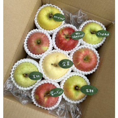 先行受付【青森市産・5品種詰め合わせ】約3kg(家庭用)【配送不可地域：離島・沖縄県】