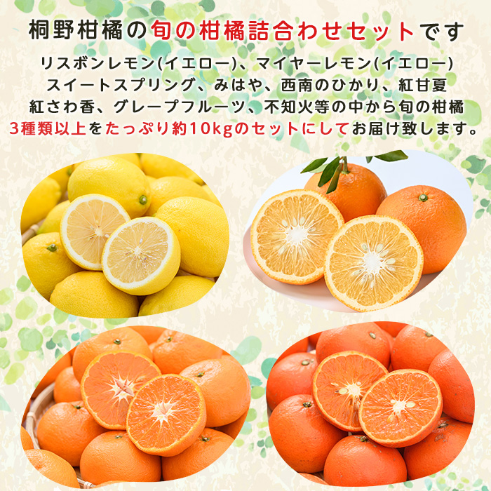 ＜2027年1月発送分！＞旬の柑橘詰合せセット (約10kg) 国産 鹿児島県 阿久根市 果実 果物 フルーツ 柑橘 みかん ミカン 旬 詰め合わせ セット【桐野柑橘株式会社】akn070-16-m0