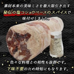 【毎月定期便】ラム肉 スライス 100g×10パック(合計1kg)全6回【配送不可地域：離島】【4077717】