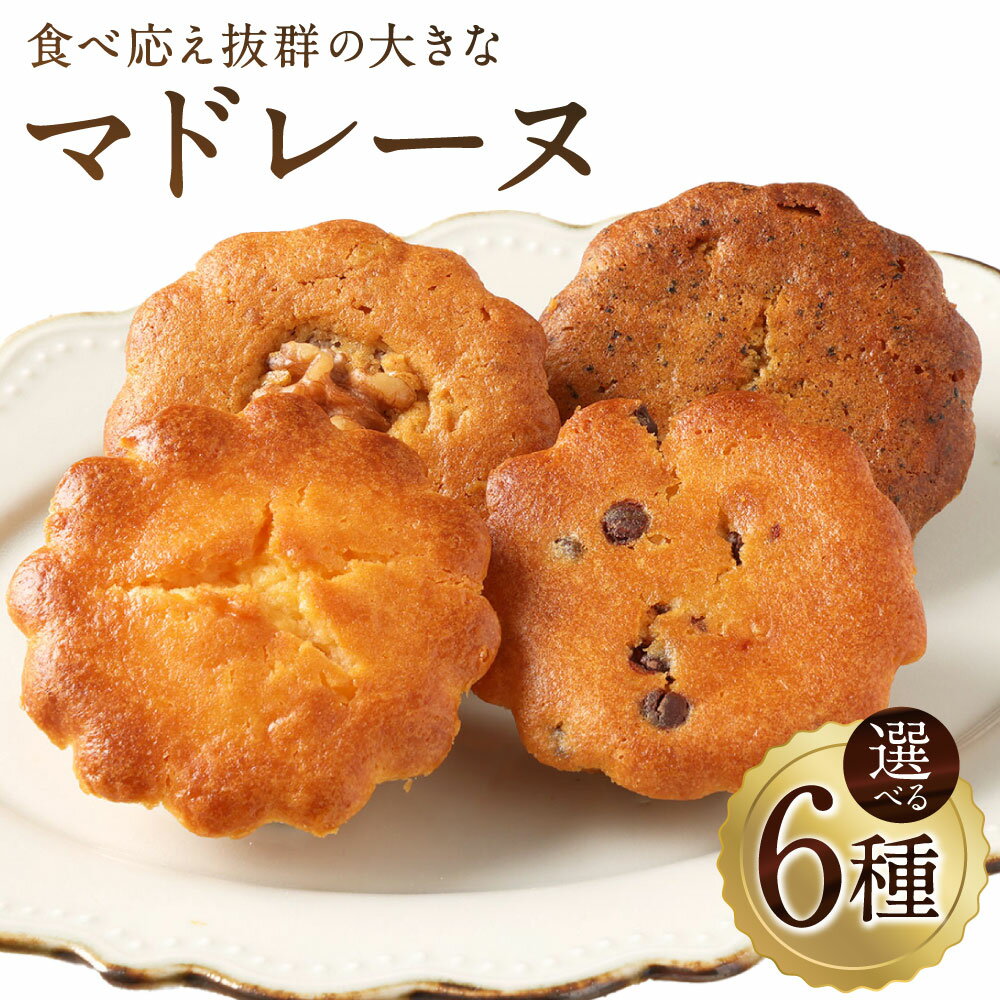 【ふるさと納税】＜選べるセット内容・内容量＞大きい！マドレーヌ 2種セット 8個 ／ 10個 プレーン・チョコチップ ／ プレーン・くるみ / プレーン・紅茶 スイーツ デザート お菓子 洋菓子 焼き菓子 おやつ 山形県 白鷹町 送料無料