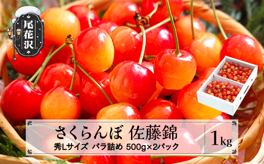 2027年産 先行予約 さくらんぼ 佐藤錦 秀Lサイズ 1kg(500g×2パック)  6月上旬~下旬頃発送 バラ詰め プレゼント ギフト 令和9年産 山形県産 ns-snslb1