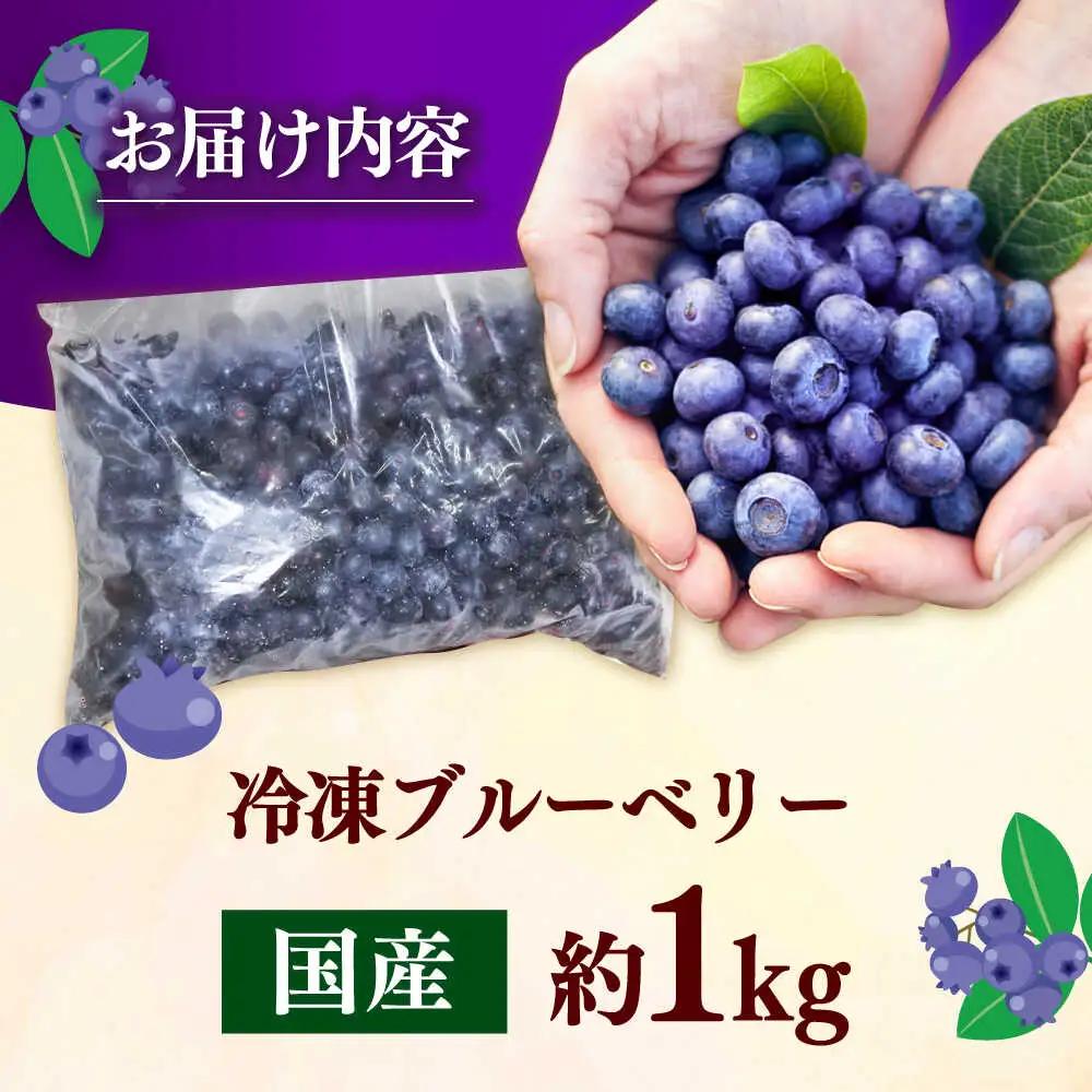 国産 ブルーベリー 1kg [ABAK001] フルーツ ベリー