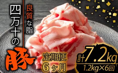 【定期便6回】四万十ポークスライス 計7.2kg（1.2kg×6ヶ月連続お届け) 2Fコース | 豚肉 豚バラ肉 小分け 小間切れ スライス 切り落とし 冷凍 真空パック 簡単調理 細切れ 大容量 肉