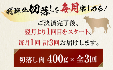 《定期便》飛騨牛 切り落とし肉400g×3回定期便 [S483]