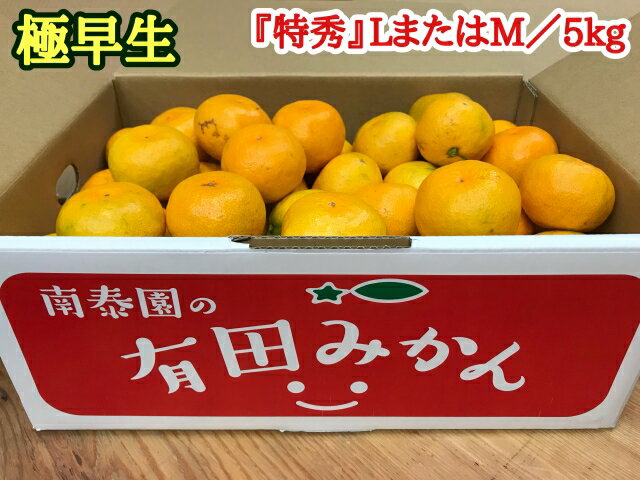 【ふるさと納税】極早生・有田みかん 5kg『特秀』(LまたはMサイズ)【ミカン 蜜柑 柑橘 温州みかん 和歌山 有田】