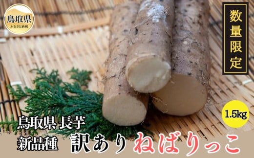 A24-340 訳ありねばりっこ 1.5kg【数量限定】
