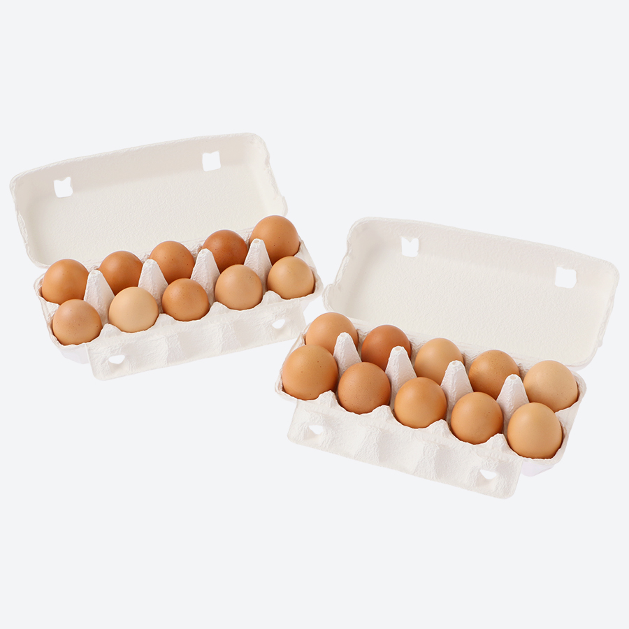 ＜たかはし農園＞放し飼い黒鶏ネラの卵 10個×2パックMS～Lサイズ