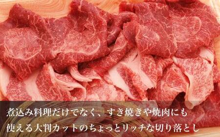 飛騨牛 ちょっとリッチな 切り落とし 460g ( もも / 肩 )  | 切り落とし JX020