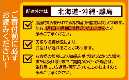 【先行予約】【訳あり】 越前がに 合計1kg以上（2～3杯）【11月～3月配送】