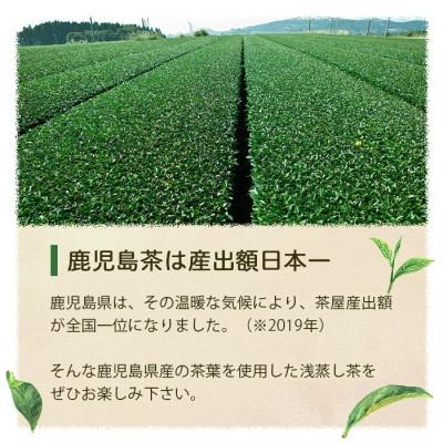 ふるさと納税 枕崎市 【2025年産】浅蒸し煎茶(100g×2袋)【若蒸し煎茶】【合計200g】A0-69 |  | 02