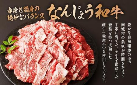 《使い勝手抜群!!》 和牛切り落とし 200g×10パック なんじょう和牛 合計400g |黒毛和牛 和牛 切り落とし モモ ウデ バラ 沖縄県 南城市 牛肉【TM0305】