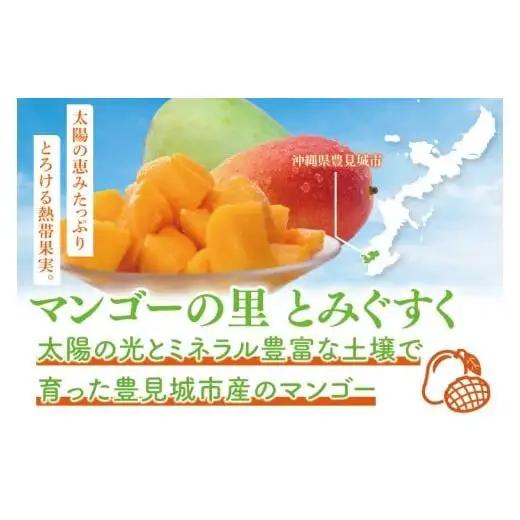菜々色畑の赤秀アーウィンマンゴー 3～5玉(約2kg)【化粧箱】