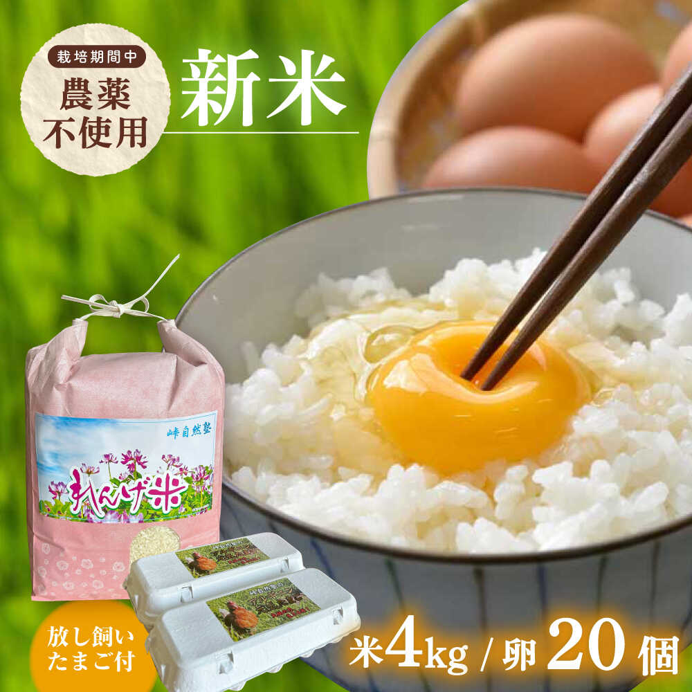 【ふるさと納税】令和7年度米4kg・放し飼いたまご20個セット ヒノヒカリれんげ米 元気たまご【浅田峠自然塾】[EA19]