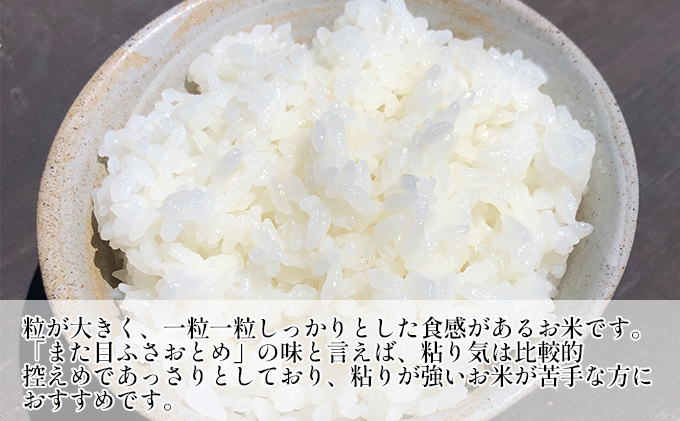 令和7年 ふさおとめ　白米　10kg（5kg×2）【 お米 精米 大粒 