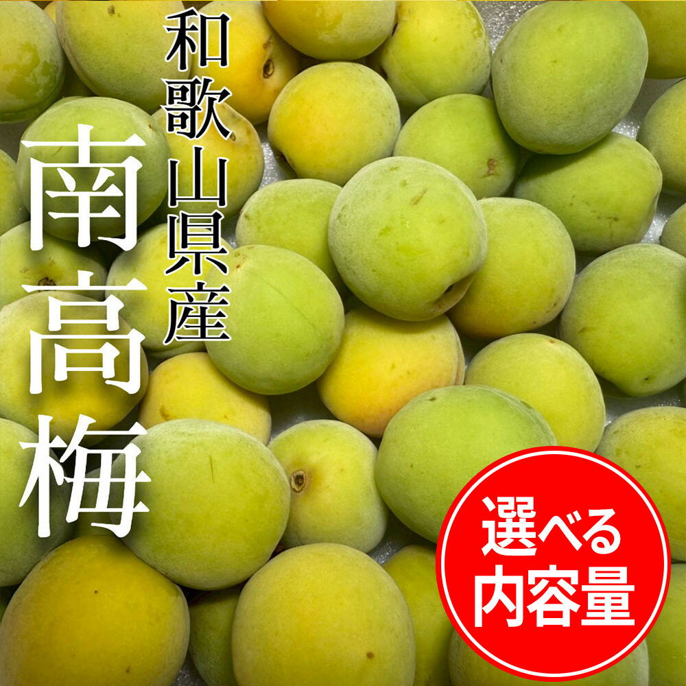 【ふるさと納税】【選べる内容量】 青梅 南高梅 1～10kg | 南高梅 うめ 梅 食品 人気 おすすめ 送料無料