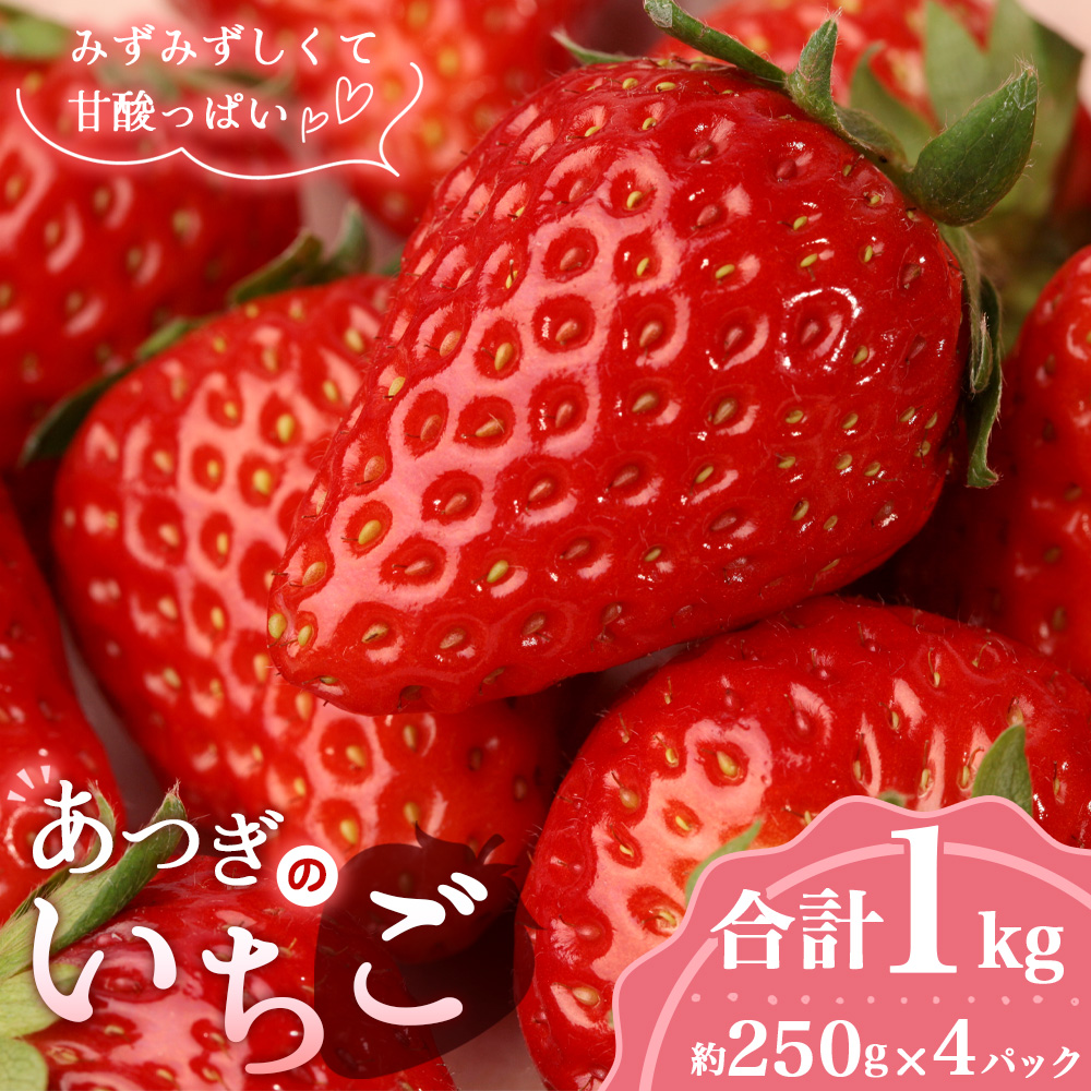 あつぎのいちご（4パック）【2026年2月発送】 ／ 苺 品種おまかせ 紅ほっぺ 恋みのり もういっこ 旬 新鮮 フルーツ 果物 農家直送 甘い みずみずしい 国産フルーツ 送料無料 厚木市産 神奈川県 No.1158