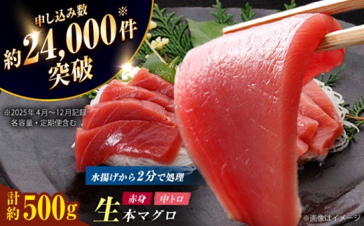 【冷蔵】 五島列島産 養殖 生本かみマグロ 中トロ 赤身 計約500g （中トロ/赤身）マグロ  中トロ まぐろ 中とろ 鮪 トロ 本マグロ 赤身 刺身  お刺身 柵 養殖 海鮮丼 刺し身 魚 海鮮 海産物【カミティバリュー】 [RBP003]