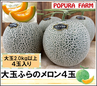 【2026年発送】【ポプラファーム】富良野メロン大玉4玉（計8㎏以上秀品）【BC-005】